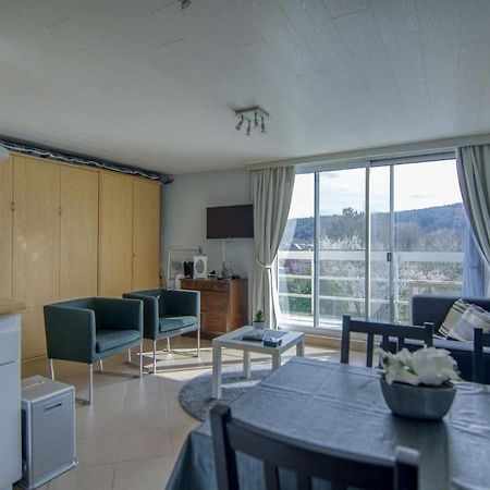 Studio Au Domaine Le Vieux Moulin Daire Han-sur-Lesse Dış mekan fotoğraf